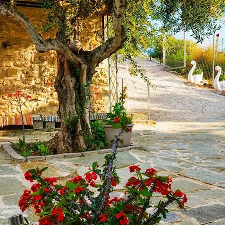 Kalochori Relaxing Moments Kalochori (Messenia)