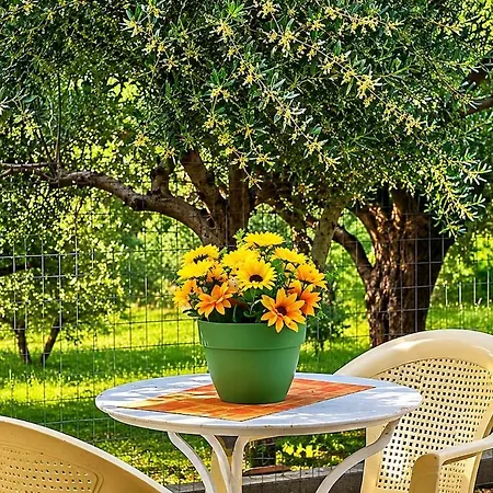 Casa vacanze Kalochori Relaxing Moments Kalochori (Messenia)